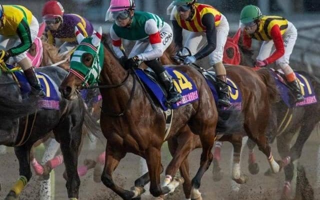 【アネモネS】川崎所属のラビュリントス 地方馬として16年ぶりの勝利目指す