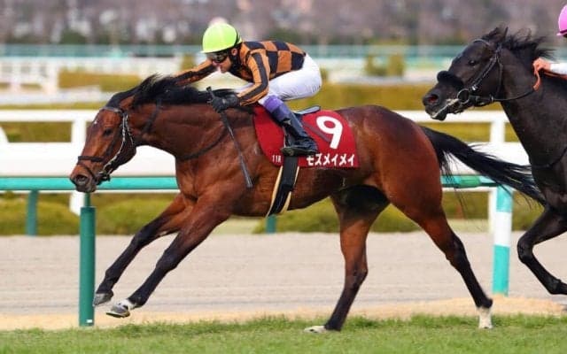 【武豊日記】ボクの気分も上々です