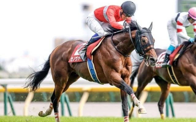 【阪神スプリングJ出走馬・騎手確定】ニシノデイジー＆石神深一騎手、ゼノヴァース＆森一馬騎手など12頭