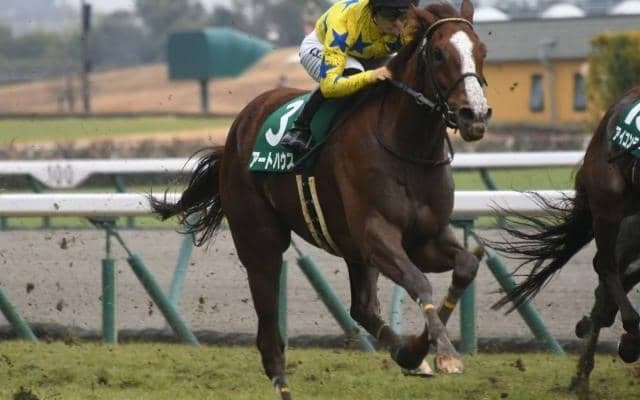 【中山牝馬S出走馬・騎手確定】アートハウス＆川田将雅騎手、スルーセブンシーズ＆ルメール騎手など14頭