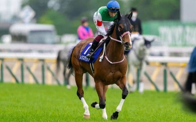 レシステンシアが競走馬登録抹消