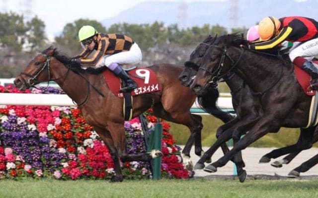 【チューリップ賞】武豊 モズメイメイが逃げ切りV…桜花賞への優先権獲得