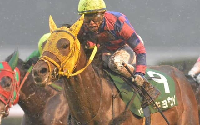 17年のシンザン記念覇者キョウヘイが登録抹消 水沢競馬へ移籍