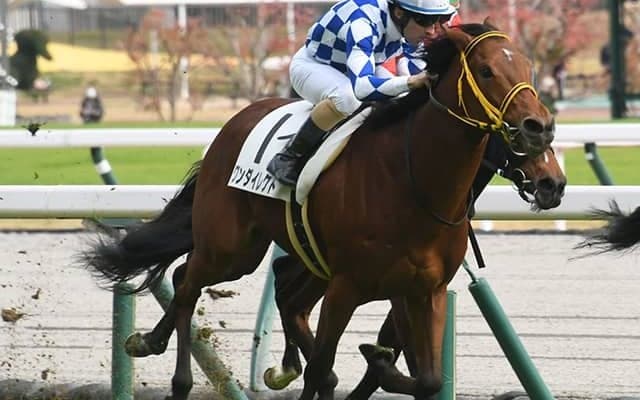 弥生賞で3着好走のワンダイレクトは皐月賞へ