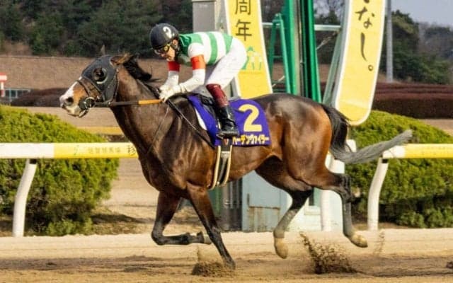 【名古屋大賞典】JRA出走予定馬