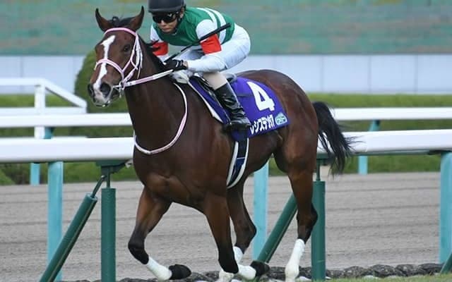 GI馬レシステンシアが登録抹消 ノーザンファームで繁殖入り