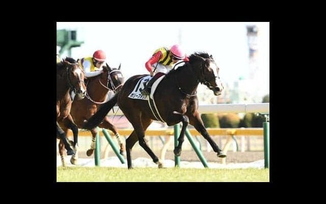 フィリーズレビューで注目は芝1400ｍに強いキタサンブラック産駒 父は長距離に強かったがスプリンターの素質は十分