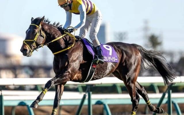 【阪神スプリングJ枠順確定】ニシノデイジーは2枠2番、ゼノヴァースは8枠11番