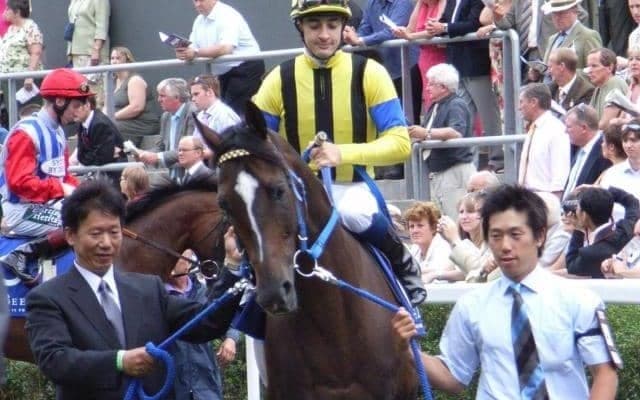 ハーツクライ22歳で死す 05年有馬記念でディープインパクトを撃破