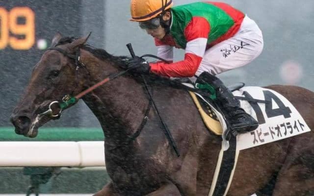 キンカメ系が好成績残すアネモネS 今年唯一の該当馬は中山コースで実績あり