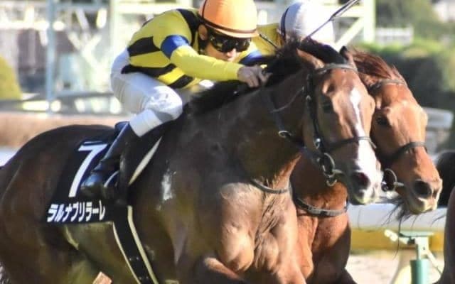 ハーツクライへの“弔い星”誓って産駒27頭が今週末出走