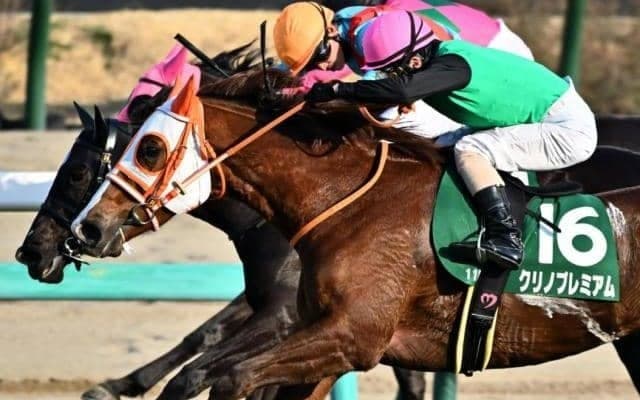 【中山牝馬S】現役屈指の中山巧者・クリノプレミアムの2連覇なるか