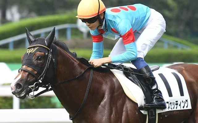 【ファルコンS想定】ペースセッティングやカルロヴェローチェなど17頭