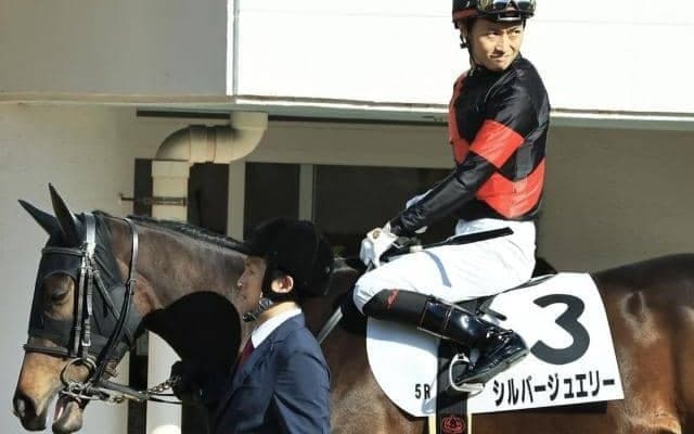 名牝スイープトウショウの孫2頭がアネモネSで激突 祖母の無念を晴らすべく桜の舞台へ