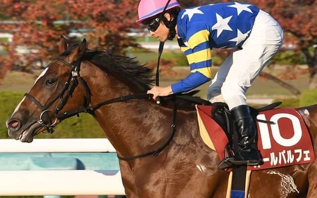 【スプリングS想定】オールパルフェやメタルスピードなど15頭