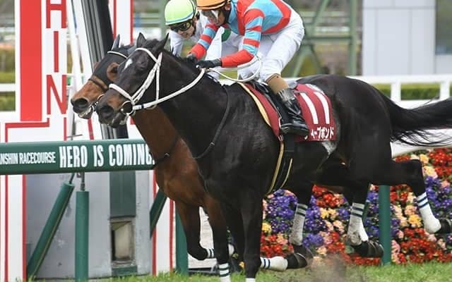 【阪神大賞典想定】ディープボンドやボルドグフーシュなど18頭