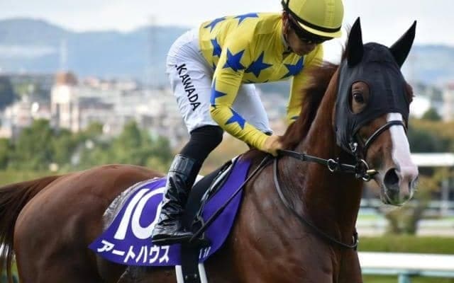 【今日の注目ポイント】牝馬のハンデGIII中山牝馬S 阪神SJでニシノデイジー始動