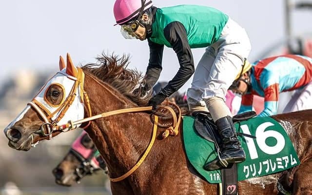 【中山牝馬S予想】立ち回りの上手さが求められる波乱傾向のあるレース