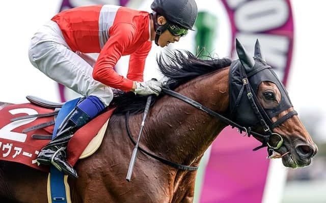 【阪神SJ予想】先行力が不可欠となる中山グランドジャンプへの重要な前哨戦