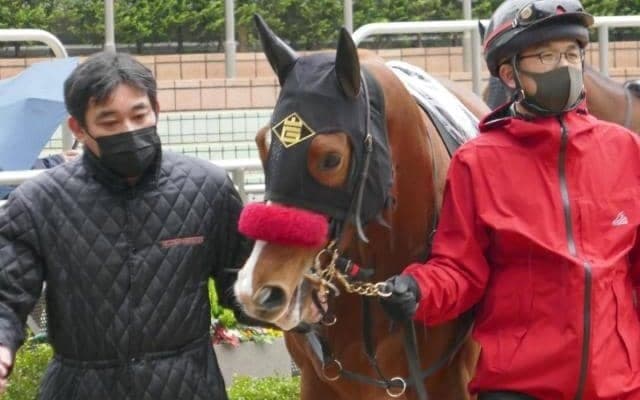 阪神芝はディープインパクト系が好調 レース巧者のトラベログで勝負だ