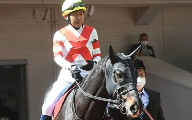 3月11日競馬開催出来事一覧 マッスルビーチが左前肢跛行で競走中止/中山・阪神・中京