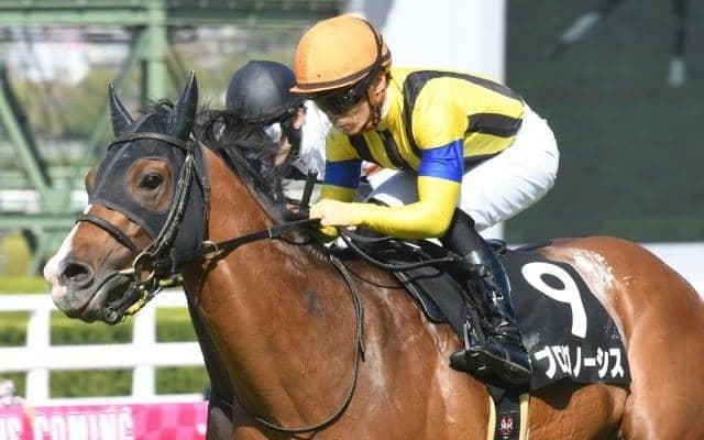 【今日の注目ポイント】大阪杯前哨戦の金鯱賞、桜花賞トライアルのフィリーズレビュー