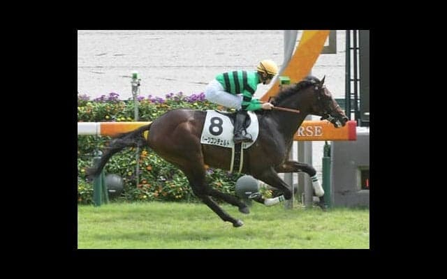 大器ハーツコンチェルト 衝撃のデビュー戦以降は不本意なレースが続くも「春の大目標」へ陣営の自信に揺るぎなし