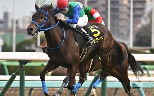【アネモネS結果】トーセンローリエが3連勝で桜花賞へ名乗り