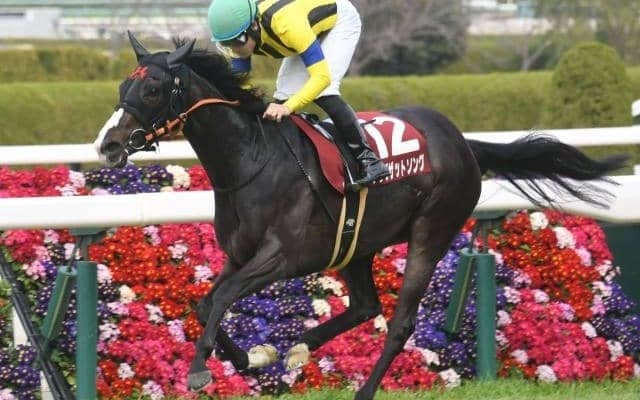 【フィリーズレビュー結果】ドゥラメンテ産駒シングザットソングが桜花賞トライアルを制す