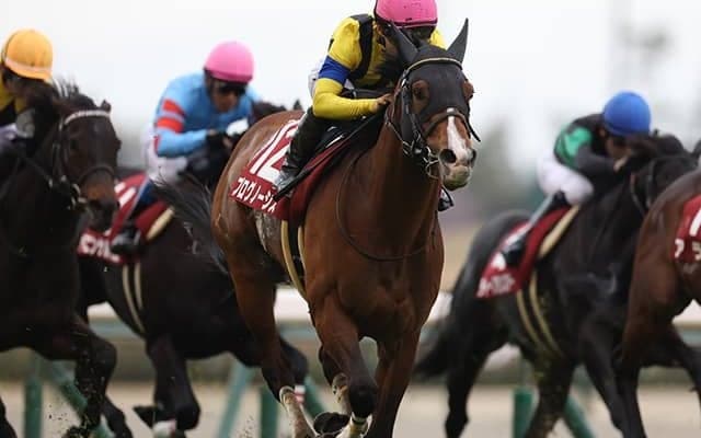 【金鯱賞結果】プログノーシスが追い込み決め重賞初V GIへ名乗り