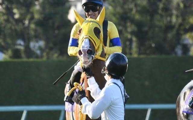 【阪神大賞典】ボルドグフーシュ、ディープボンドらが登録