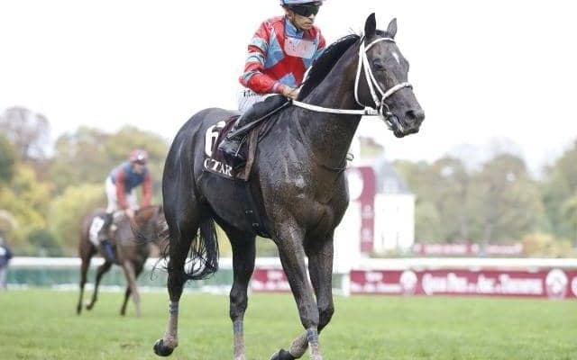 阪神大賞典でディープボンドが史上2頭目の3連覇狙う/今週の競馬界の見どころ