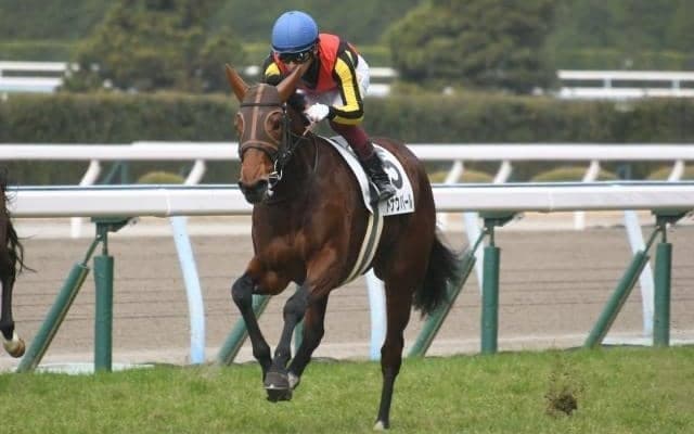 【フラワーC見どころ】ジェンティルドンナの姪ドナウパールが連勝を狙う