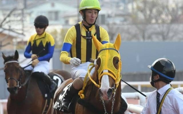 【阪神大賞典見どころ】GI連続2着のボルドグフーシュが始動