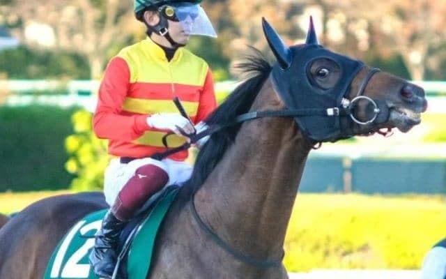 【名古屋大賞典枠順確定】ハギノアレグリアスは3枠3番、バーデンヴァイラーは5枠6番