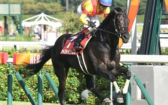 【AI予想・阪神大賞典】前走失速も能力は互角!? 長距離適性「折り紙付き」の妙味ある◎候補