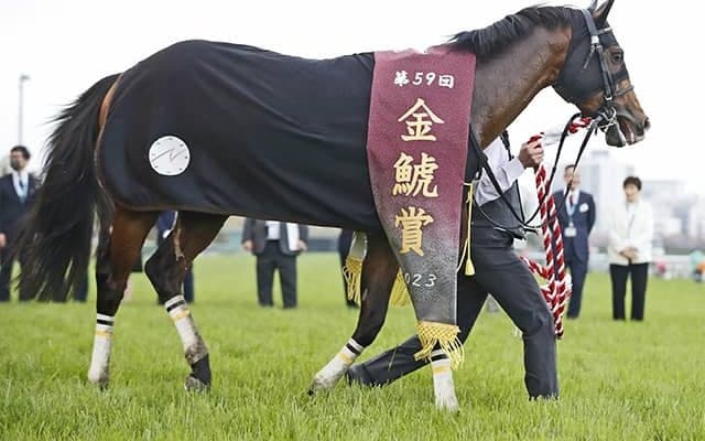 【金鯱賞】売上は61億7165万9900円で昨年から約12億円減少