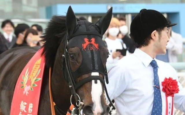 桜の舞台に夢が膨らむ完勝劇 シングザットソングが強い内容で重賞初制覇 