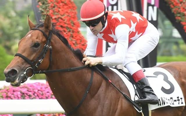 【ファルコンS想定騎手】カルロヴェローチェは武豊騎手、ペースセッティングは岩田康誠騎手