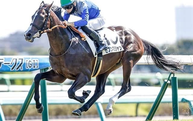 【スプリングS想定騎手】セブンマジシャンは戸崎圭太騎手、オールパルフェは大野拓弥騎手