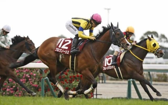 3歳時から素質を高く評価されてきたプログノーシス 春のビッグレースでの活躍にも期待
