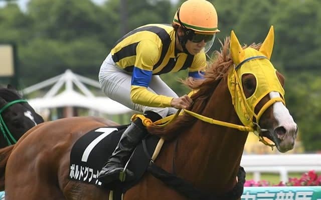 【阪神大賞典想定騎手】ボルドグフーシュは川田将雅騎手、ディープボンドは和田竜二騎手