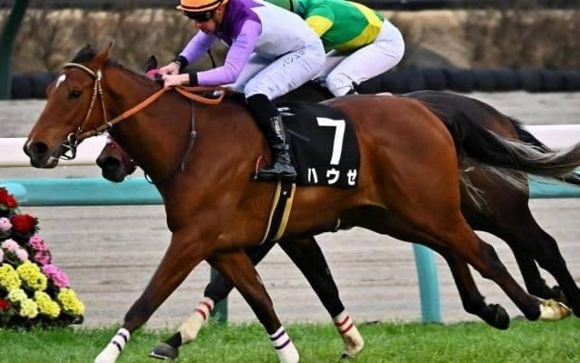 デクラレーションオブウォー産駒JRA重賞初制覇へ 中山巧者のハウゼがスプリングSに参戦
