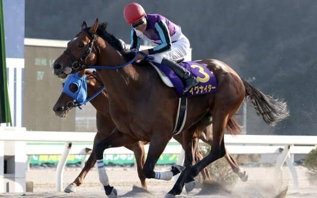 【高知・黒船賞注目馬】地方の年度代表馬イグナイターが連覇に挑む