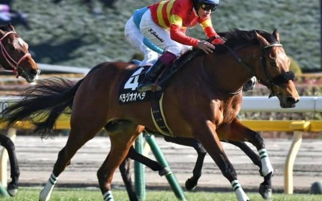 2戦2勝の注目株2頭がスプリングSに参戦 無敗Vならキタサンブラック以来8年ぶり12頭目