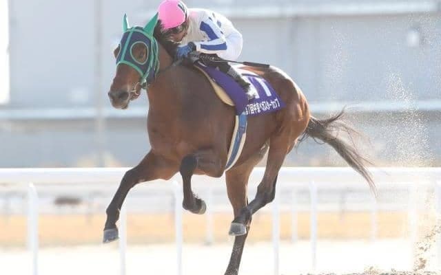 【名古屋・中京ペガスターC結果】マクマホン産駒のスタンレーが重賞初V