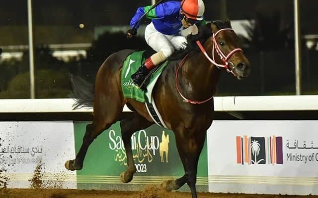 【海外競馬】ドバイWCデー招待受諾の日本馬発表　パンサラッサ、イクイノックスなど27頭