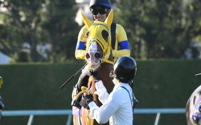 【阪神大賞典予想オッズ】ボルドグフーシュが予想1番人気