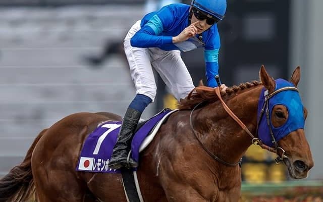 レモンポップやレッドルゼルなど ドバイGSの出走予定馬13頭が発表