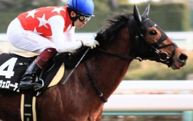 中京巧者の血を引く“大器” シーイズトウショウの孫がファルコンSで重賞初挑戦